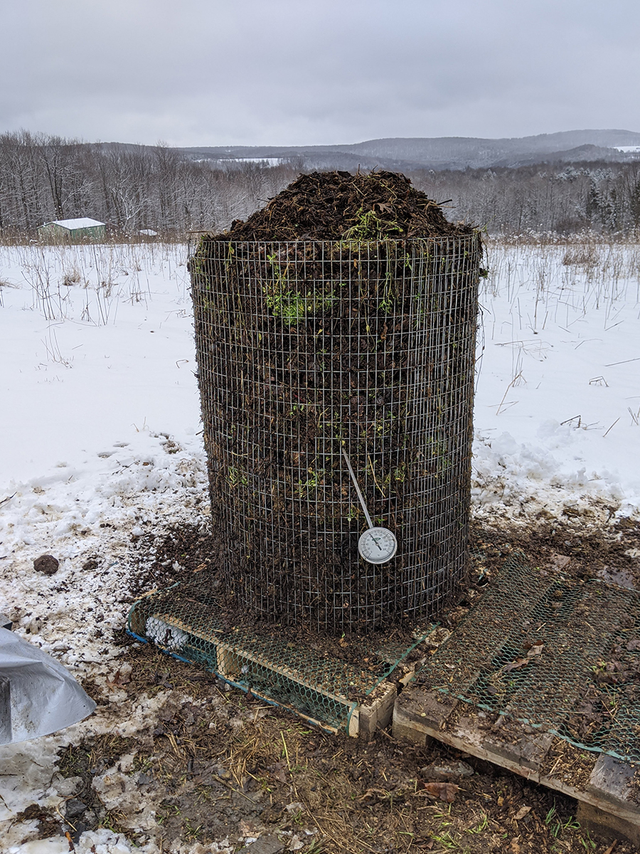 compost pile #1 in snow