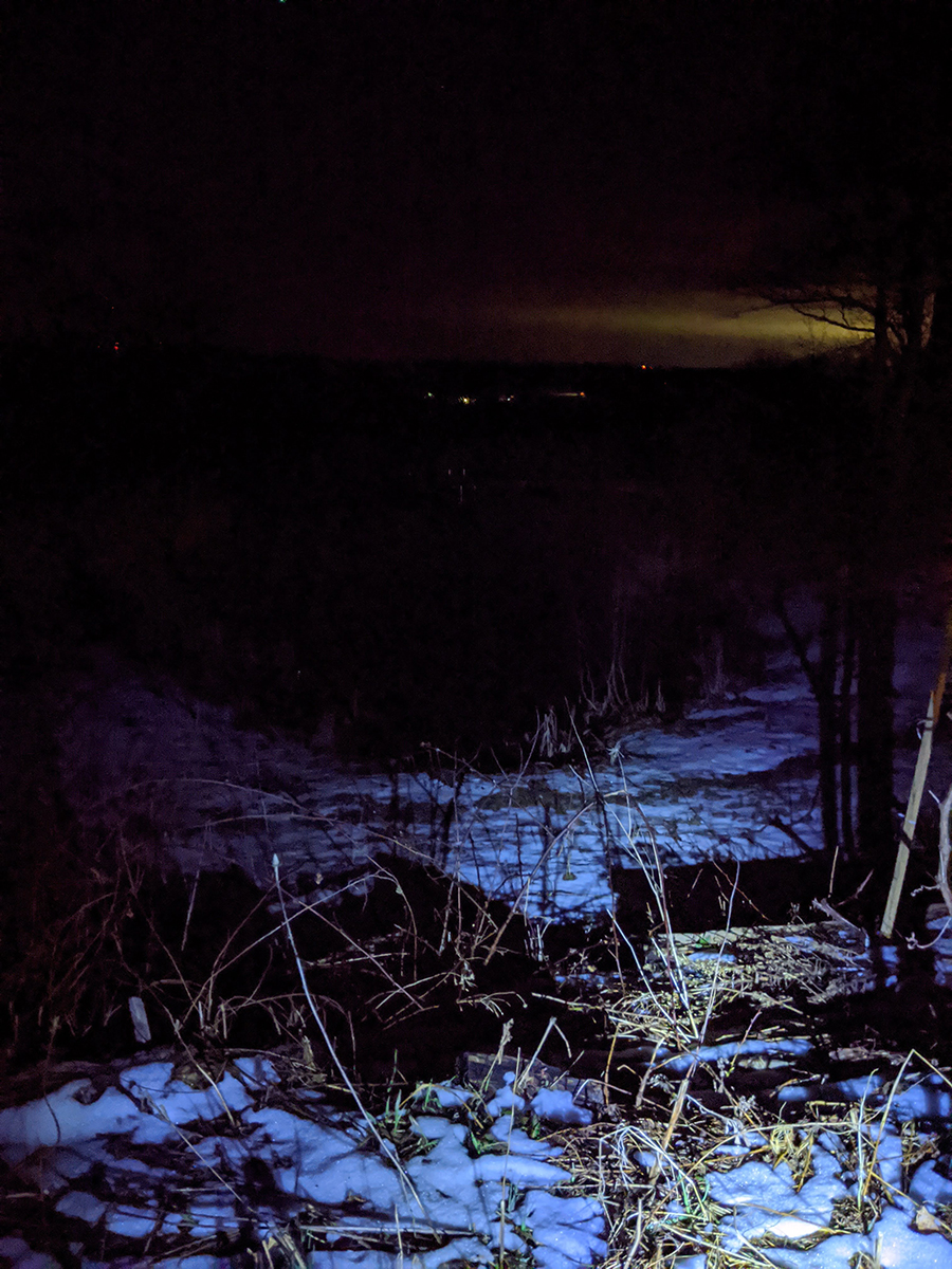 night picture with snow