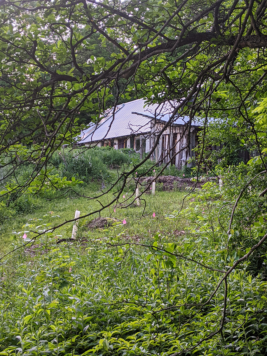 00000IMG_00000_BURST20200608202843442_COVER copy