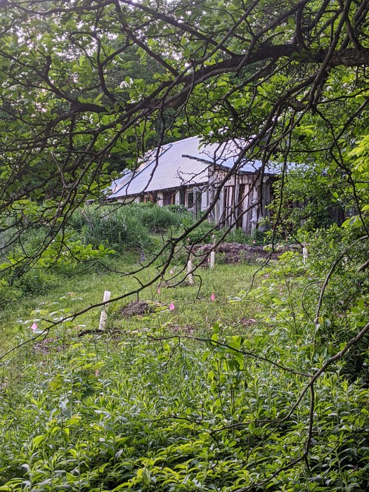 00000IMG_00000_BURST20200608202843442_COVER copy