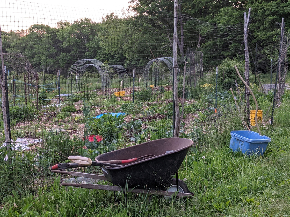 00000IMG_00000_BURST20200609204540094_COVER copy