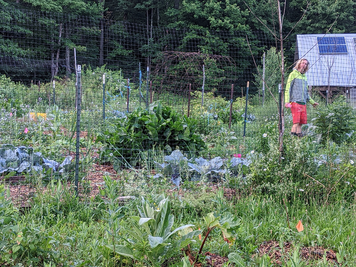 00000IMG_00000_BURST20200625201309508_COVER copy