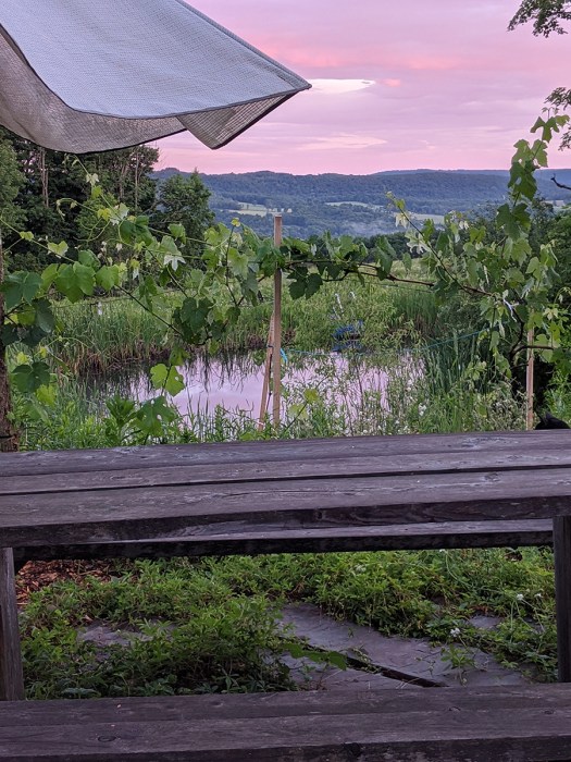 00000IMG_00000_BURST20200625204044247_COVER copy