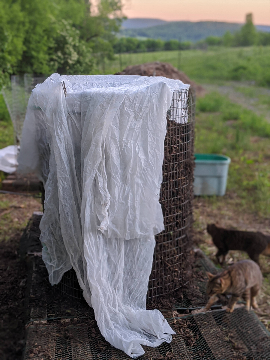 00100lrPORTRAIT_00100_BURST20200608202950387_COVER copy