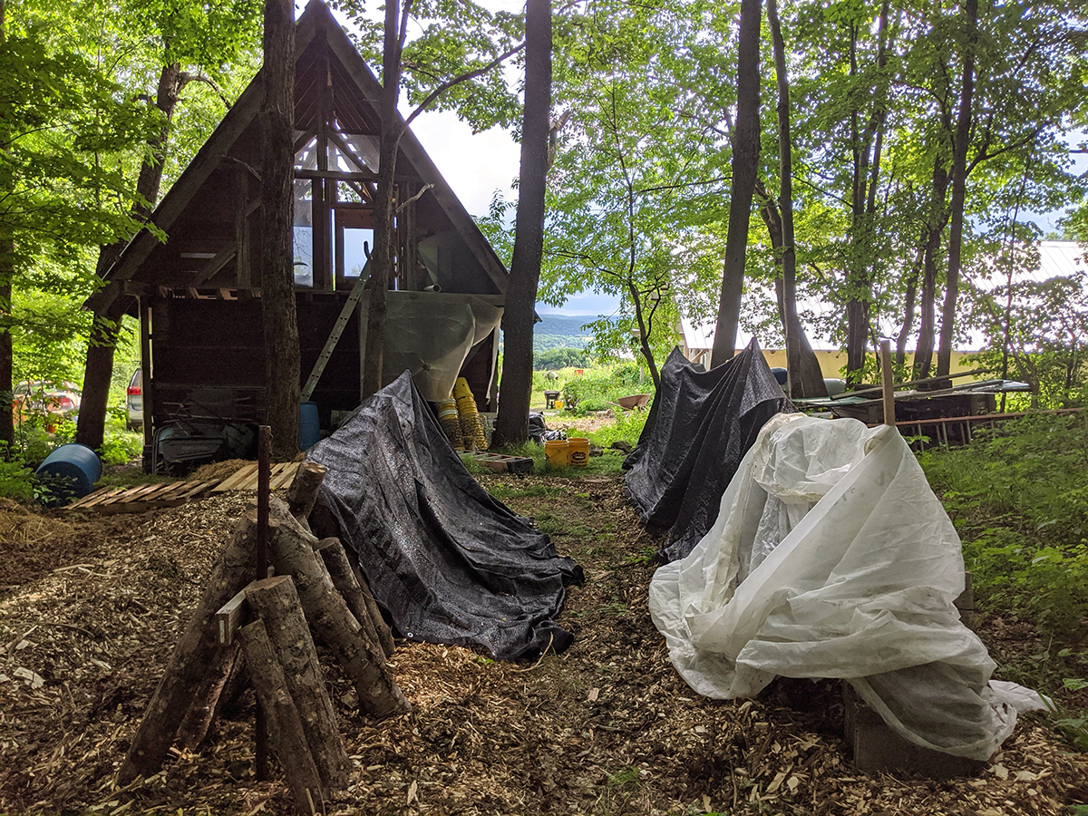 IMG_20200618_172247 copy